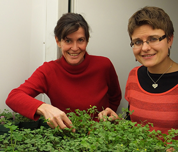 Professor Maria Harrison and Postdoctoral scientist Daniela Floss
