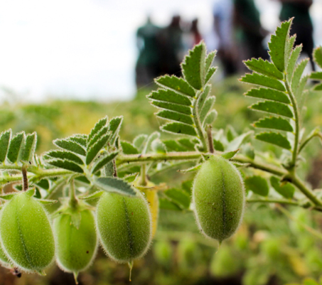 Photo: ©FAO/Luc Genot