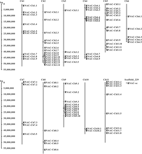 https://static-content.springer.com/image/art%3A10.1186%2Fs12870-016-0882-5/MediaObjects/12870_2016_882_Fig1_HTML.gif