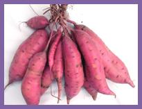 Description: Káº¿t quáº£ hÃ¬nh áº£nh cho sweet potato tube