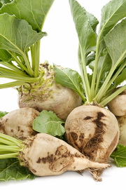 http://www.isaaa.org/kc/cropbiotechupdate/files/images/2017-03-15-sugarbeet.jpg