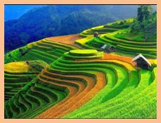 Description: See the source image