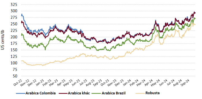 Description: https://cdn.vietnambiz.vn/1881912202208555/images/2024/10/11/photo-import-20241011153711607.png?width=700