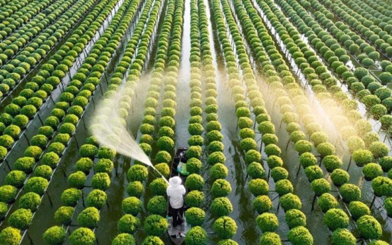 Ngành Trồng trọt cần được tháo gỡ những quy định đã lỗi thời.