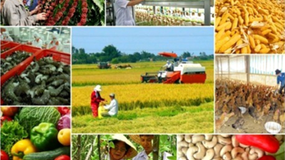 Sản xuất nông lâm thủy sản 6 tháng đầu năm 2023 tăng trưởng ổn định.