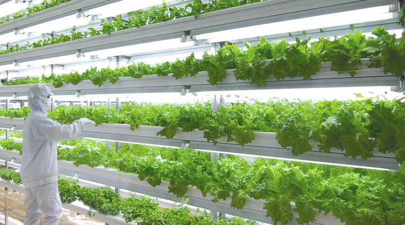 Vì sao nông nghiệp khó thu hút FDI? (Hình minh hoạ, nguồn: Internet).