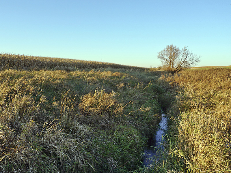 Description: Stream in field