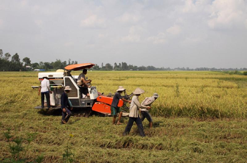 Hợp tác công tư làm tăng năng suất, tăng thu nhập, giảm phát thải