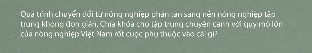 Description: &nbsp;