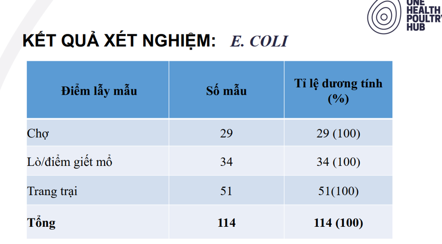 Nguy cơ mất an toàn thực phẩm chủ yếu lây nhiễm ở vi sinh vật - Ảnh 3
