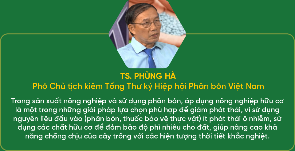 Ngành phân bón trước áp lực xuất khẩu và chuyển đổi sản xuất xanh - Ảnh 7