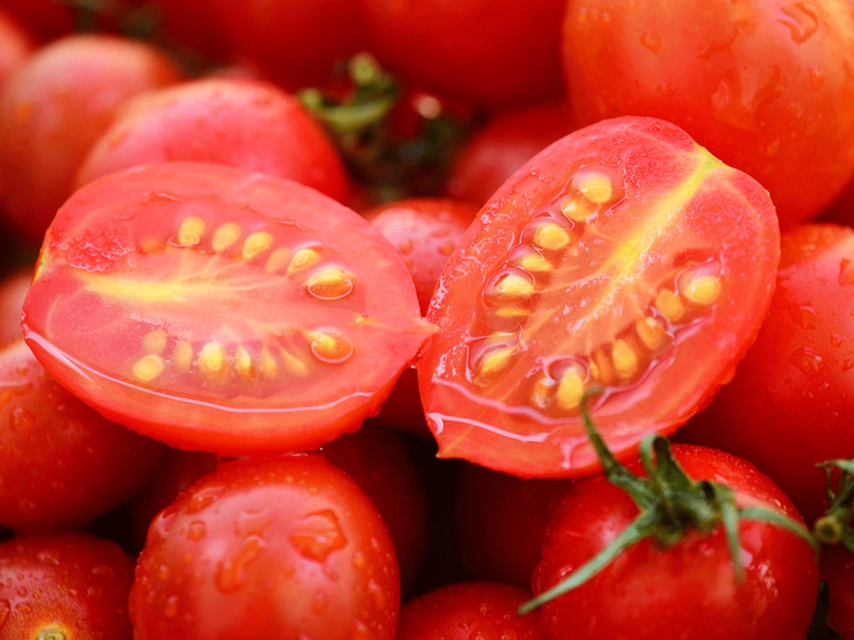 Photo: ©FAO/Luc Genot