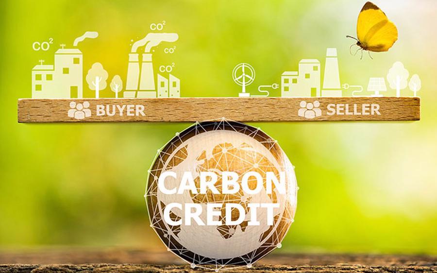Phát triển thị trường carbon để thúc đẩy chuyển đổi xanh - Ảnh 2
