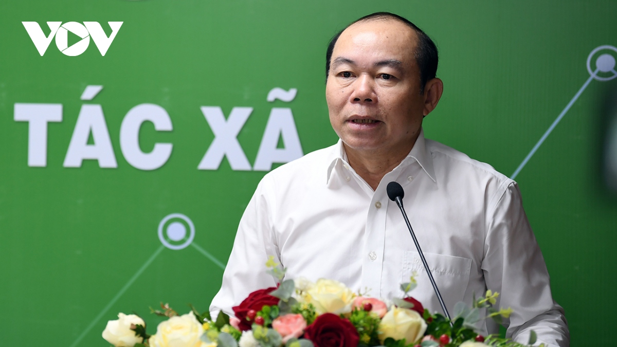 Description: kinh te tap the, hop tac xa phu hop voi tien trinh phat trien va xu the toan cau hinh anh 5