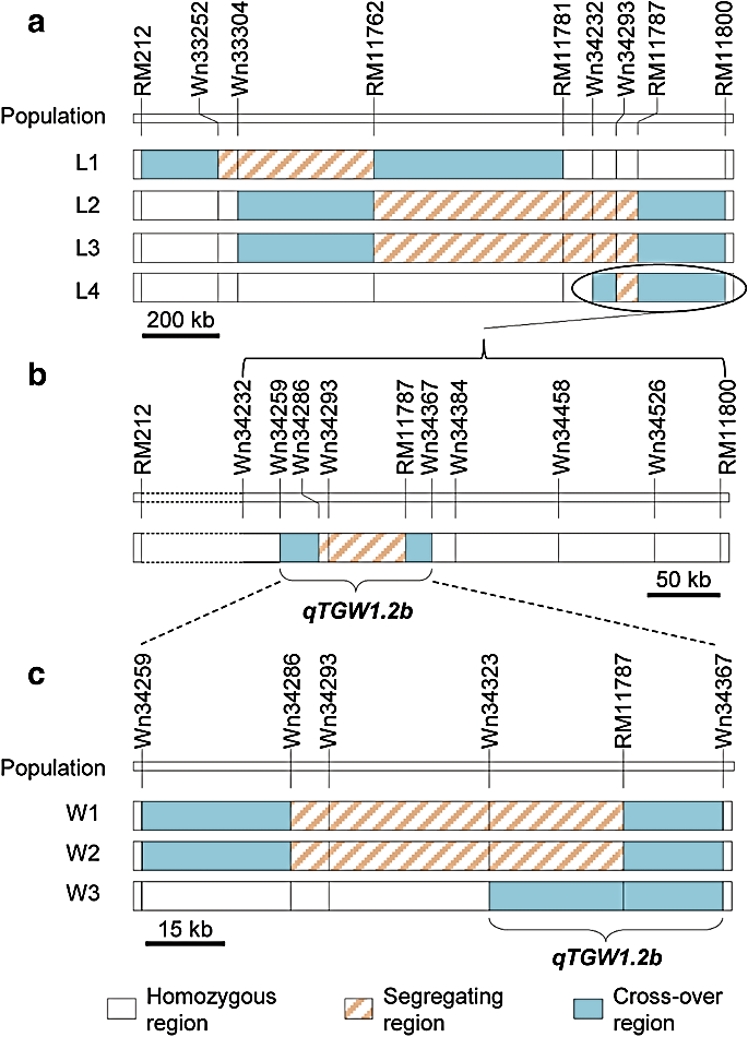 Description: figure2