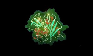 Ph&aacute;t triển th&agrave;nh c&ocirc;ng enzyme c&oacute; khả năng ph&acirc;n hủy nhựa 