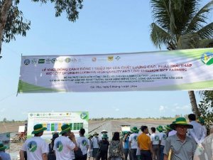 Khởi động Đề &aacute;n 1 triệu h&eacute;c-ta l&uacute;a chất lượng cao, ph&aacute;t thải thấp