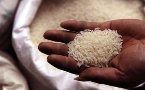 Gạo Việt lạc l&otilde;ng trong bức tranh xuất khẩu n&ocirc;ng sản s&aacute;ng m&agrave;u