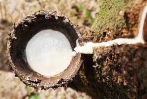 Xuất khẩu n&ocirc;ng, l&acirc;m thuỷ sản 7 th&aacute;ng tăng hơn 26%