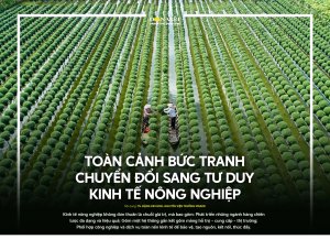 Toàn canh bức tranh chuyển đổi sang tư duy kinh tế nông nghiệp