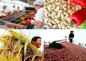 N&ocirc;ng nghiệp &ldquo;cầm chắc&rdquo; thắng lớn