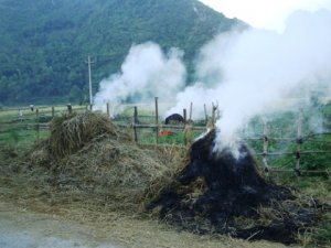 Quan ngại về khí thải… nông nghiệp