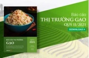 Thị trường gạo th&aacute;ng 7/2021: Lợi nhuận doanh nghiệp ng&agrave;nh gạo bị co hẹp do dịch COVID-19