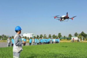 Nhìn rõ con đường nông nghiệp Việt vào thị trường khó tính