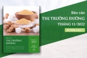 Thị trường đường tháng 11/2022: Thời tiết không thuận lợi làm chậm tiến độ vào vụ ép