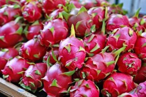Để trái cây cho “quả ngọt” bền vững