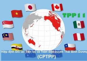 Hiệp định đối t&aacute;c to&agrave;n diện v&agrave; Tiến bộ xuy&ecirc;n Th&aacute;i B&igrave;nh Dương - CPTPP