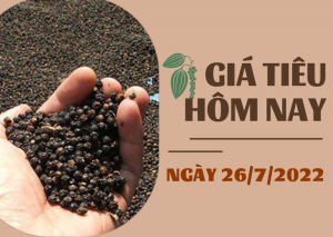 Gi&aacute; ti&ecirc;u h&ocirc;m 26/7: Chững lại tr&ecirc;n diện rộng; cao su SHFE tăng 1%