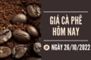 Thị trường c&agrave; ph&ecirc; qu&yacute; III/2022: Gi&aacute; c&agrave; ph&ecirc; giảm mạnh v&agrave;o cuối qu&yacute;