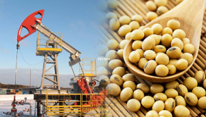  Gi&aacute; đậu tương c&oacute; thể sẽ hồi phục trở lại từ v&ugrave;ng hỗ trợ 1350 &ndash; 1360