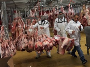 Vì sao nền nông nghiệp Pháp dẫn đầu thế giới?