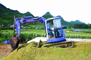 T&igrave;m `ch&igrave;a kho&aacute;` giảm nhập khẩu nguy&ecirc;n liệu thức ăn chăn nu&ocirc;i