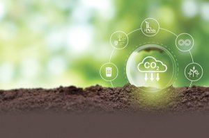 Thương mại tín chỉ carbon: Cơ hội cần nắm bắt