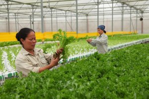Chuyển đổi số - đột ph&aacute; tạo nền tảng cho n&ocirc;ng nghiệp mới