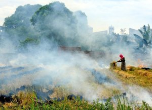Sản xuất xanh, giảm ph&aacute;t thải