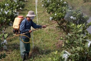 Hầu hết c&aacute;c quốc gia kh&ocirc;ng gi&aacute;m s&aacute;t việc sử dụng thuốc kh&aacute;ng sinh tr&ecirc;n c&acirc;y trồng