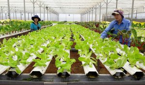 Nhiệm vụ, giải pháp cải thiện môi trường kinh doanh, nâng cao năng lực cạnh tranh quốc gia năm 2025