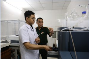 Đ&aacute;nh thức tiềm năng của những lo&agrave;i cỏ c&acirc;y th&ocirc;ng dụng