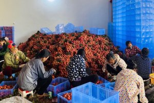 N&ocirc;ng nghiệp phấn đấu đạt mục ti&ecirc;u &ldquo;k&eacute;p&rdquo;