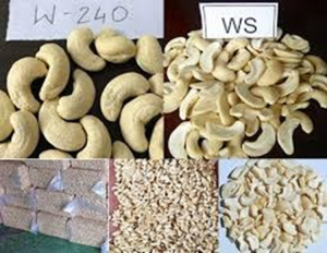  Xuất khẩu hạt điều 7 th&aacute;ng đầu năm 2021 tiếp tục tăng cao