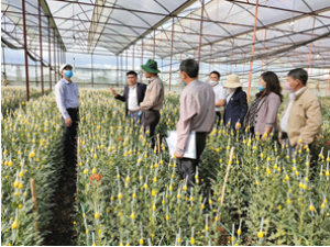 Kiểm tra, đ&aacute;nh gi&aacute; kết quả thực hiện dự &aacute;n &ldquo;X&acirc;y dựng v&agrave; ph&aacute;t triển m&ocirc; h&igrave;nh sản xuất hoa c&uacute;c thương phẩm &aacute;p dụng c&ocirc;ng nghệ chiếu s&aacute;ng bằng đ&egrave;n Led tại L&acirc;m Đồng&rdquo;