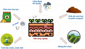 Vi nhựa trong đất n&ocirc;ng nghiệp: Nhiều c&acirc;u hỏi cần được trả lời