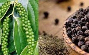 Gi&aacute; ti&ecirc;u ng&agrave;y 11/4: Tiếp tục trầm lắng th&ecirc;m phi&ecirc;n nữa?