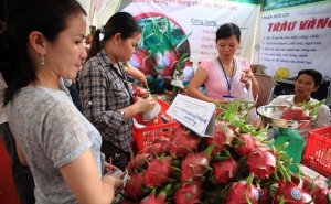 Tr&aacute;i c&acirc;y Việt &ldquo;được m&ugrave;a&rdquo; xuất khẩu