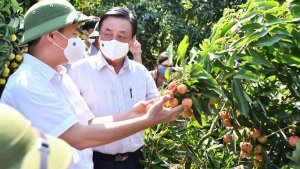 Bộ trưởng L&ecirc; Minh Hoan: Ng&agrave;nh n&ocirc;ng nghiệp tiếp tục l&agrave; trụ đỡ của nền kinh tế 