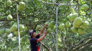 Ph&aacute;t triển thương hiệu cộng đồng: T&igrave;m giải ph&aacute;p bền vững